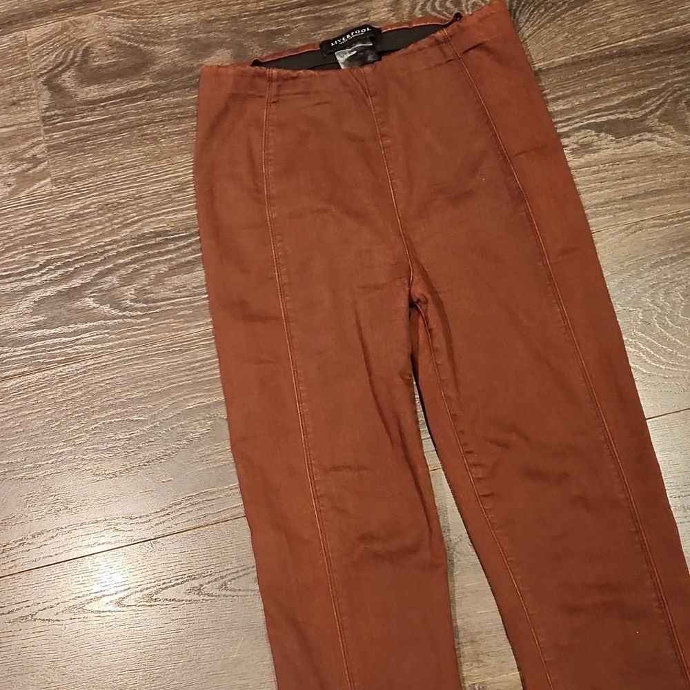 ❤️ LIVERPOOL JEANS COMPANY HIGH RISE PULL ON GARMENT DYED SKINNY PANTS, 6 (28) - Picture 4 of 8